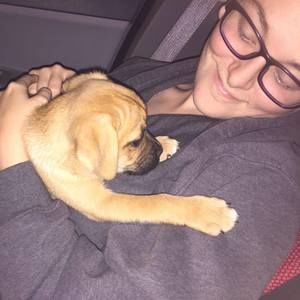 Meet your Posher, Briana